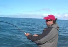 Monster Halibut