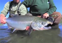 Fishing In Alaska