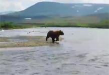 Alaska Trout Fishing